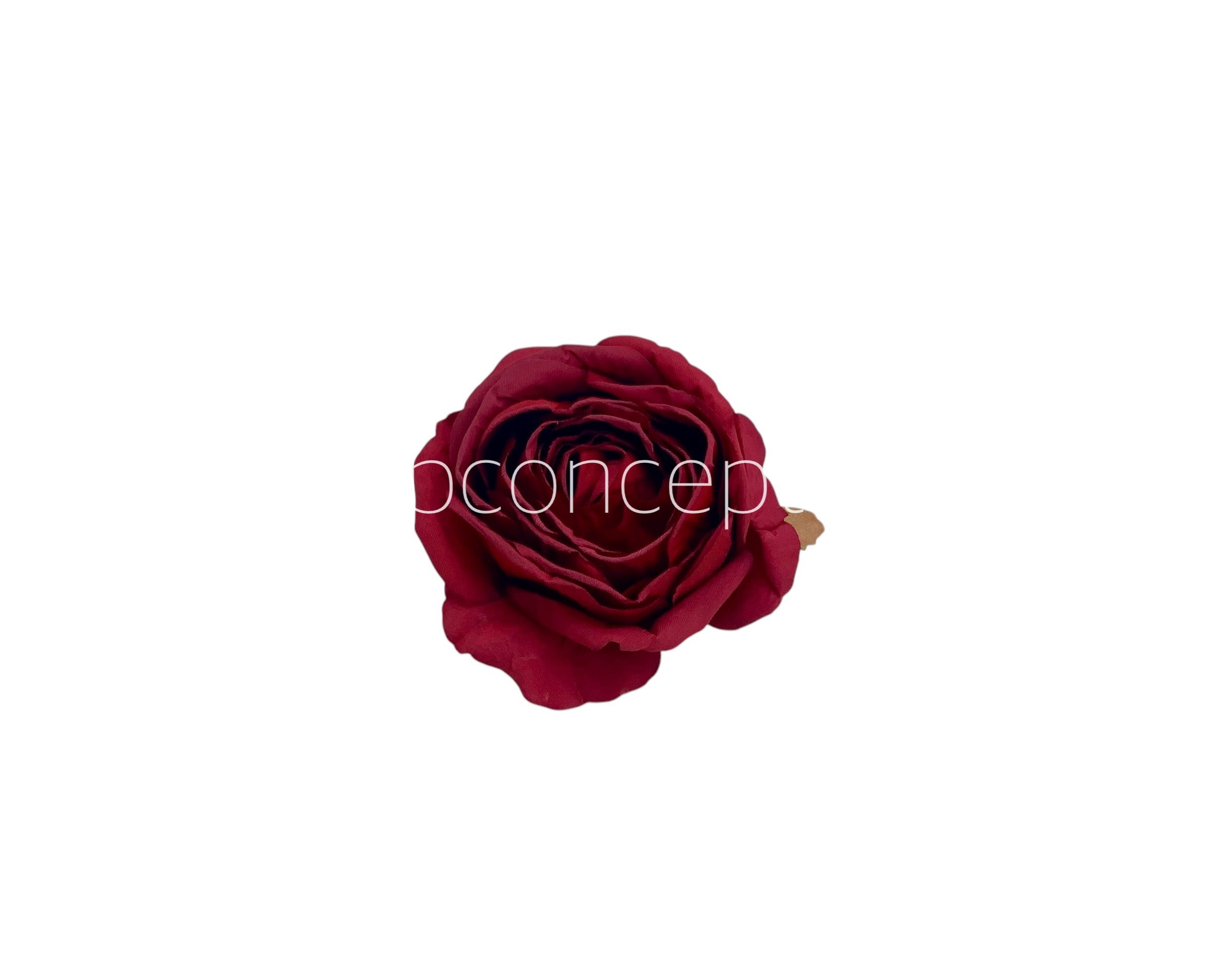 Ruby Roses