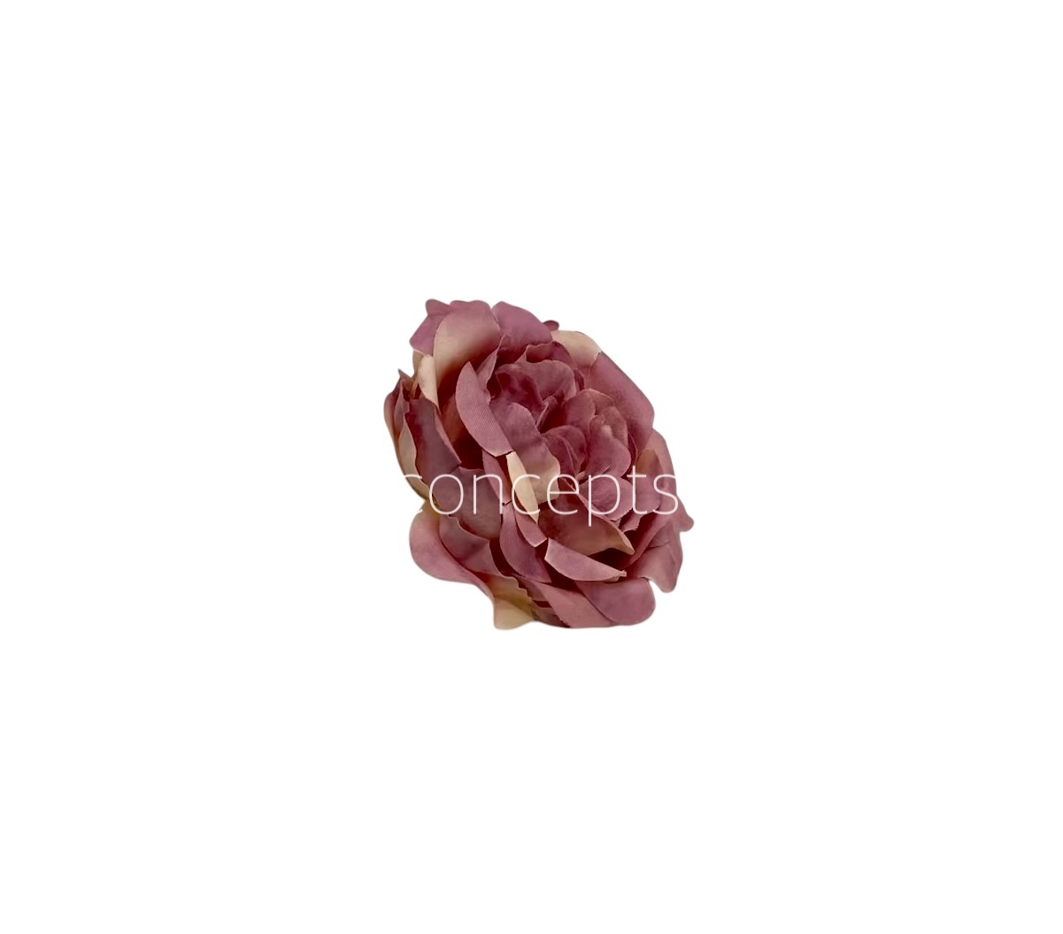 Purple with Cream Smalll Ornate
