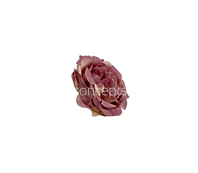 Purple with Cream Smalll Ornate