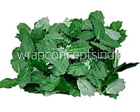 Dark Green Birch Leaves