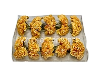 Ochre Windflower