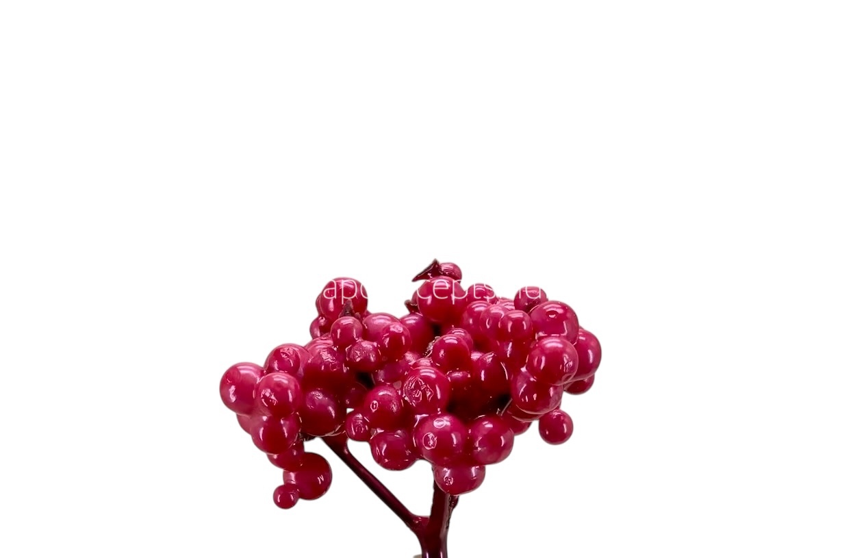 Fuchsia Fern Small