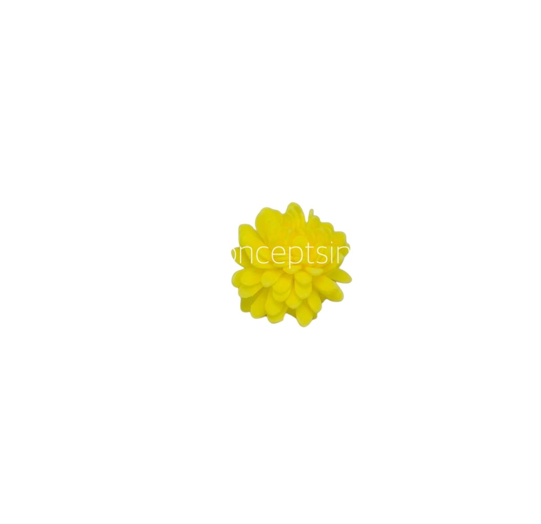 Yellow Foam Carnation