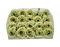 Rose Small – Sage Green