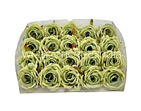 Rose Small – Sage Green