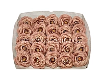Almond Open Rose