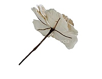 Velvet Flower With Frosted Edges & Center