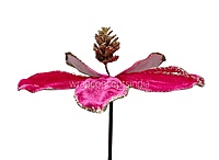 Velvet Flower with Gitter Pine Center-Tangerine