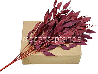 Leaves Stick Bunch - Ivory-AntiqueWhite