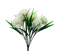 Carnation Bunch - Mullticolour