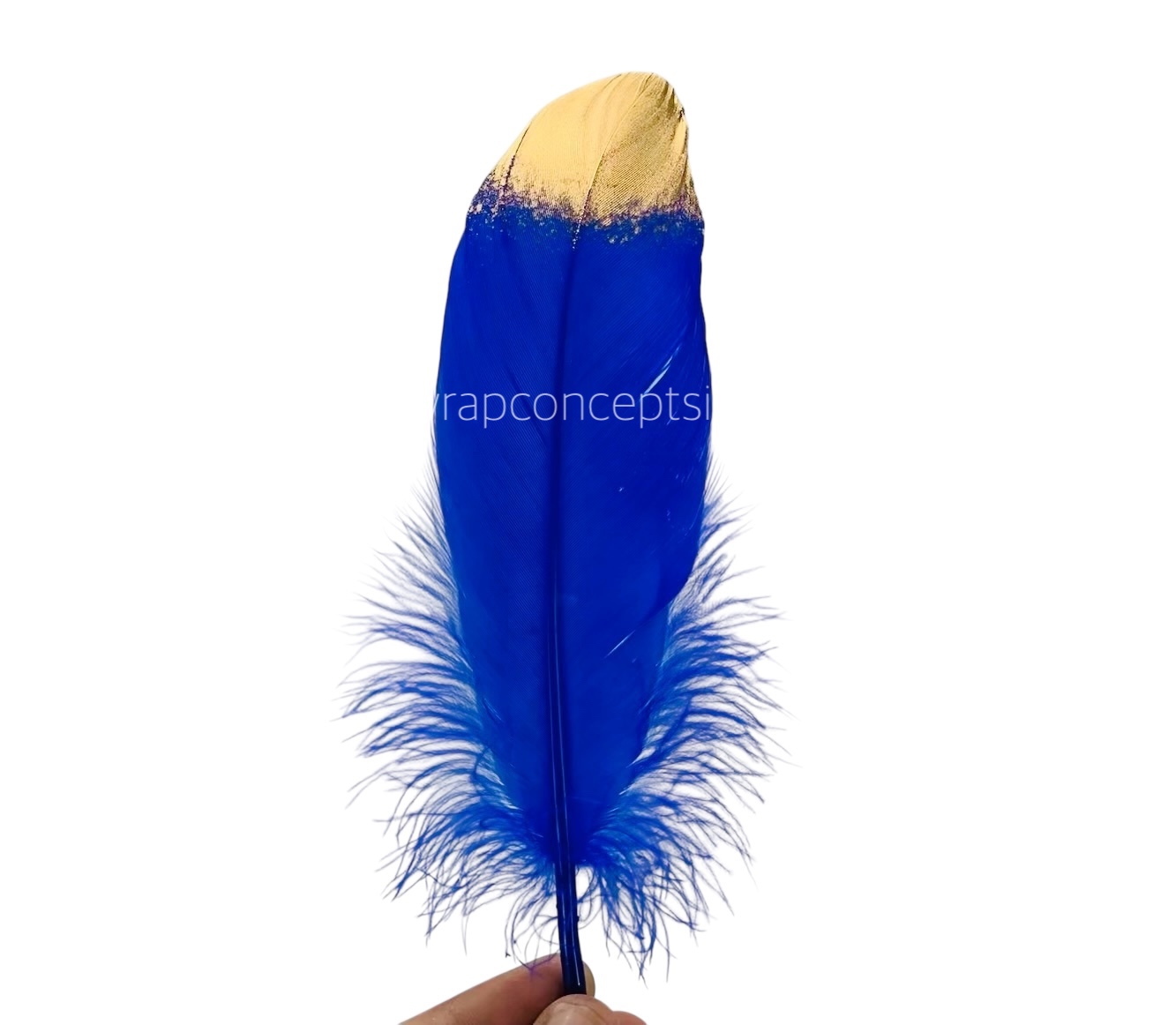 Faux Feather with Gold Edges