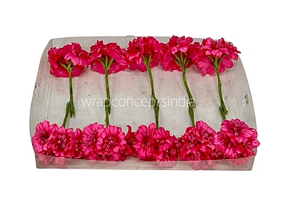 Fuchsia Flowers with Fuchsia Pollens