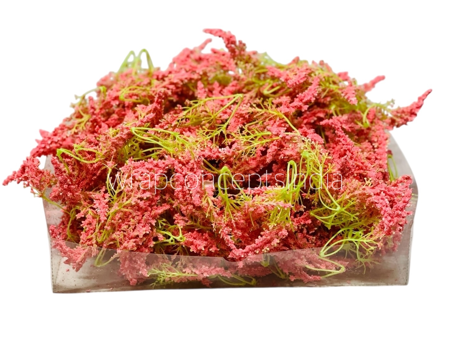 Trio Frosted Fern Leaves - Flamingo