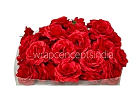 Cadmium Red Shrub Rose