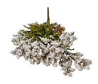 Frosted Wildflower Bush-Wine