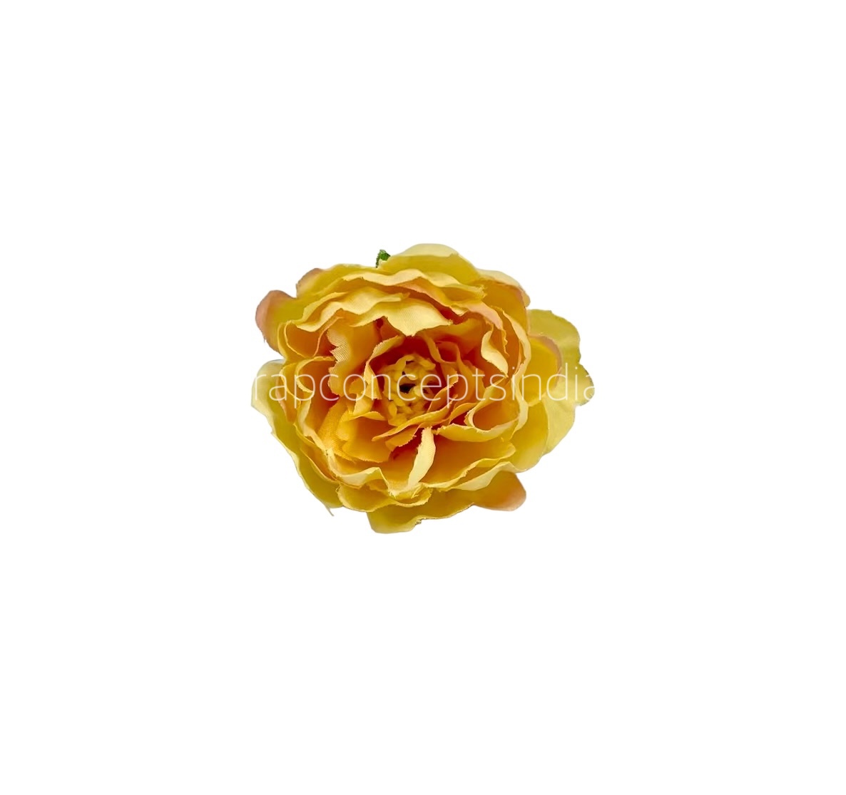 Buttercup with Peach Open Peony