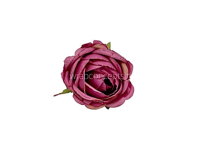 left Over Big Peony - Light Brown