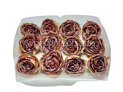 Tawny with Hints of Dusky Pink Peony