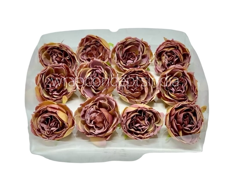 Tawny with Hints of Dusky Pink Peony