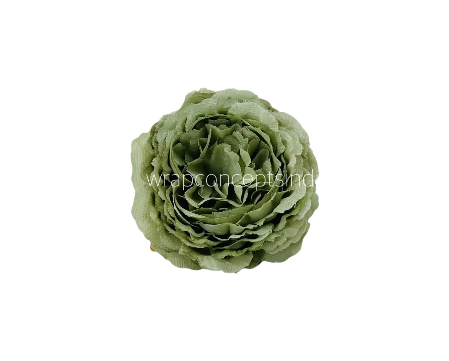 Sage Green Ornate Peony