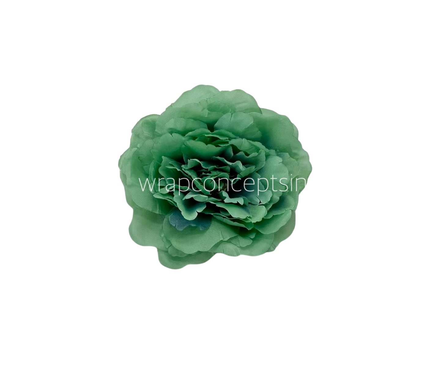 Pine Green Moutan Peony