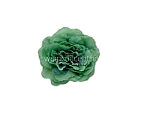 Pine Green Moutan Peony