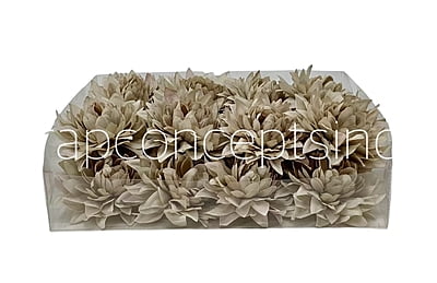 Greige Dahlia Flower