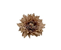 Walnut Dahlia Flower