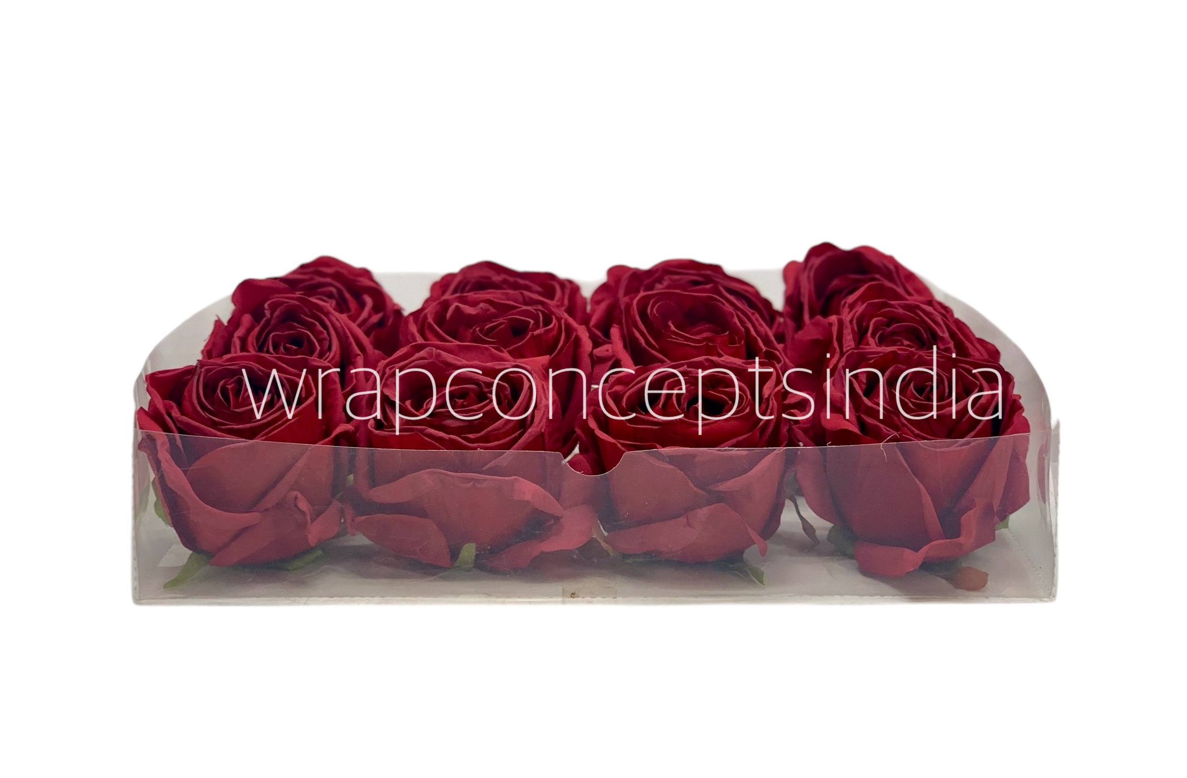 Ruby Roses