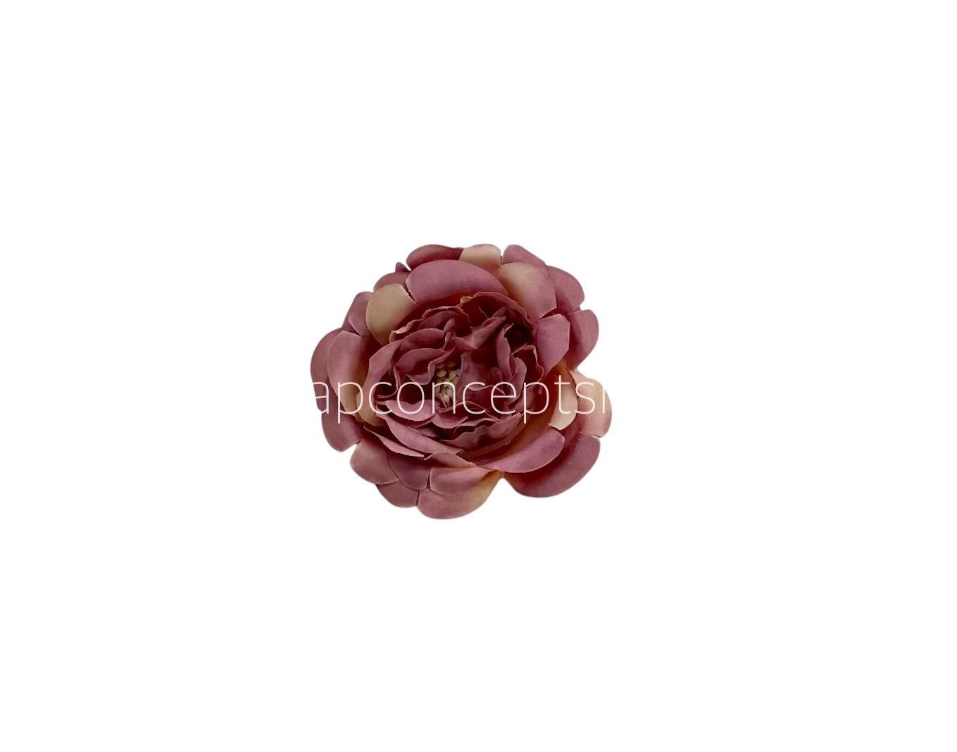 Purple with Cream Smalll Ornate