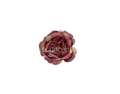 Purple with Cream Smalll Ornate