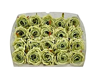 Rose Small – Sage Green