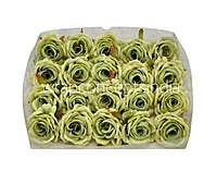 Rose Small – Sage Green