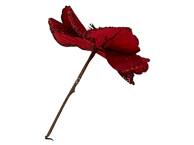 Big Flower with Glitter Centre & Edges