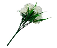 Carnation Bunch - Mullticolour