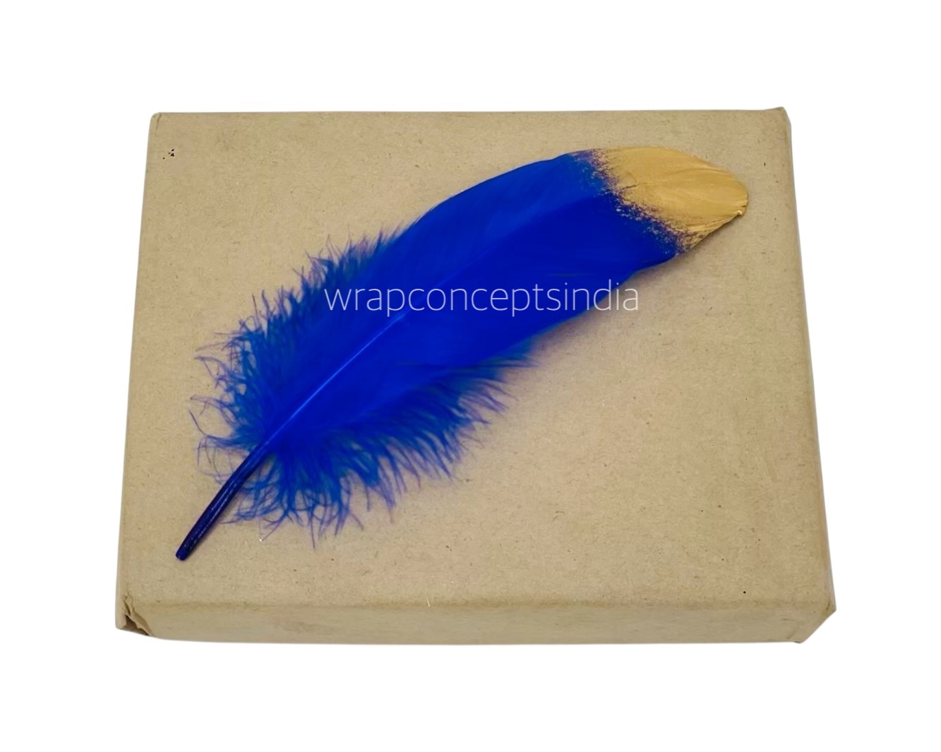 Faux Feather with Gold Edges