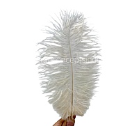 Faux Feather Rounded Edges-Brown