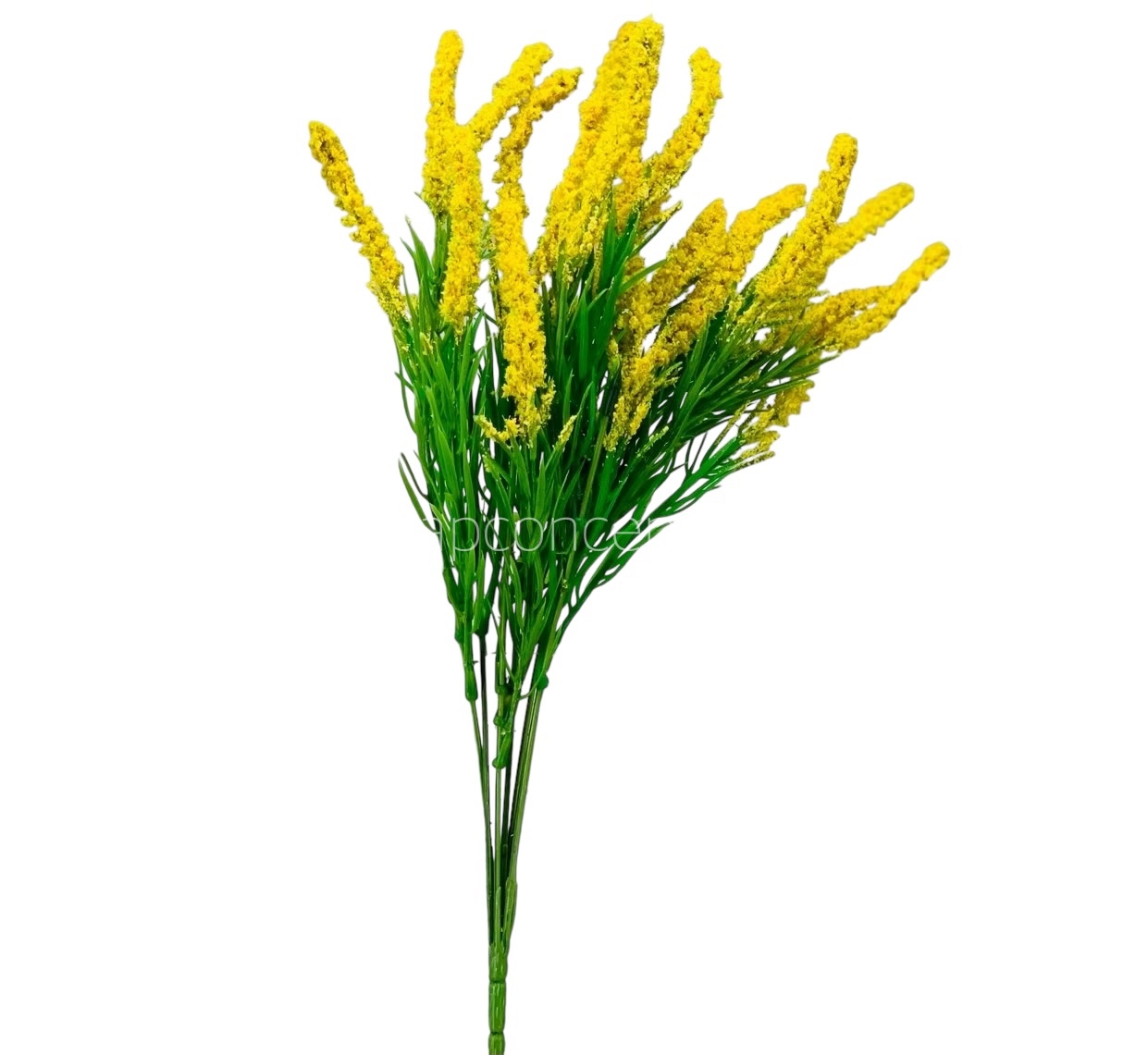 Leaves Bunch with Frosted Conifers