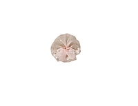 Peach Organza Flowers with Pearls