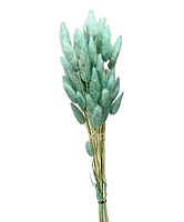 Preserved Bunny Tails-Teal