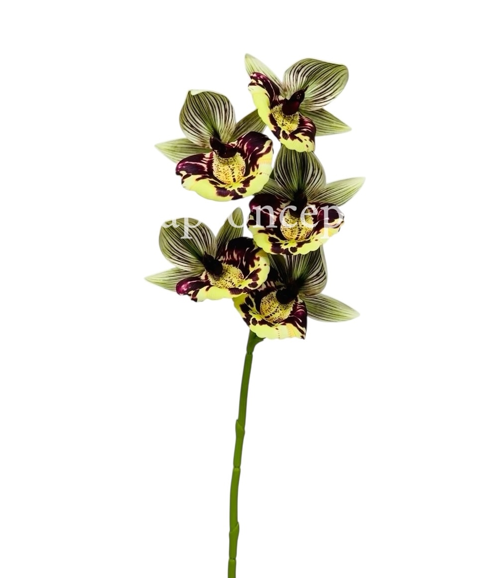Orchid Sticks - Multicolor
