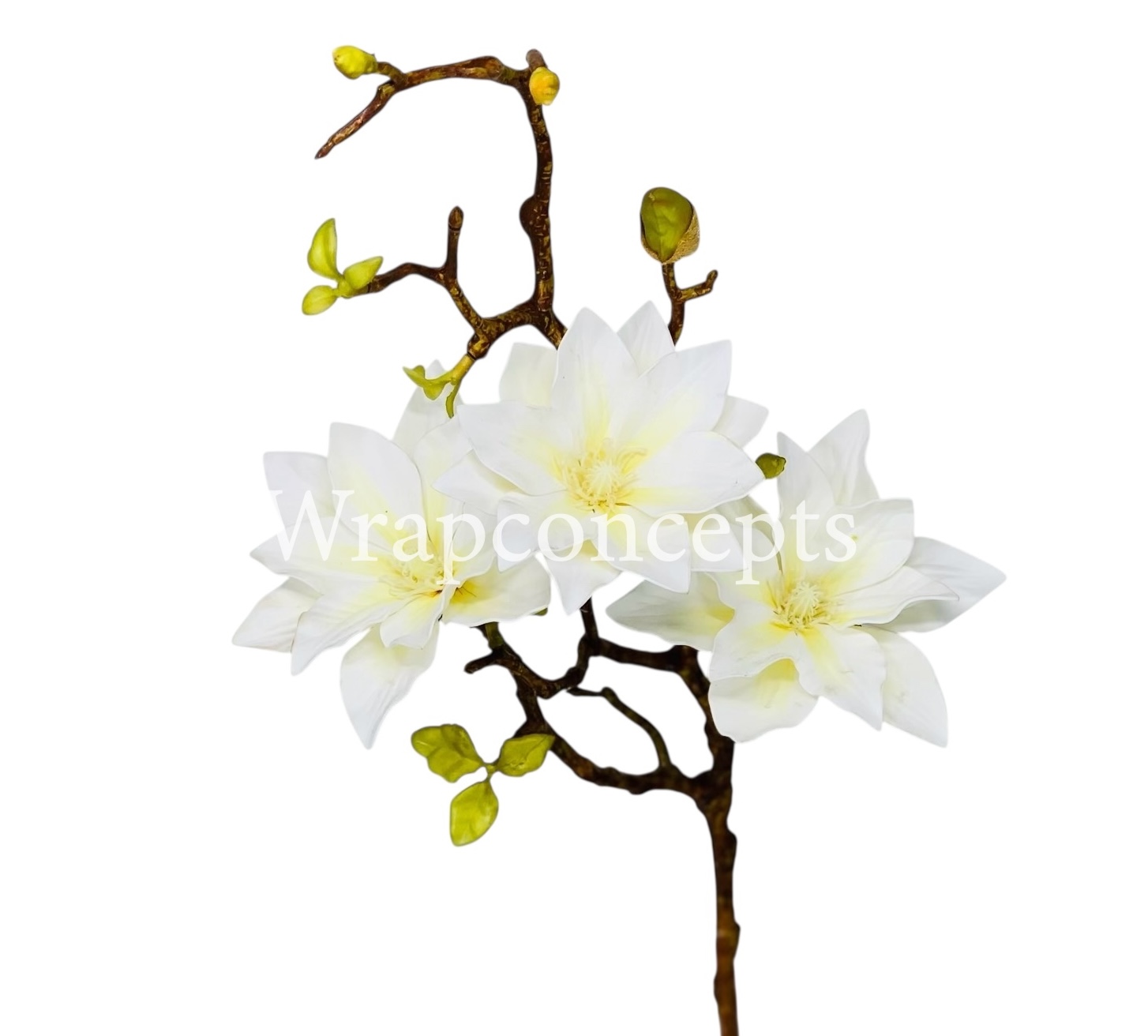 Copy of Orchid Sticks - Multicolor