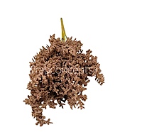 Frosted Plum Blossom Spray-White