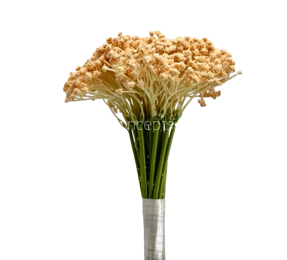 Baby Breath's Bunch