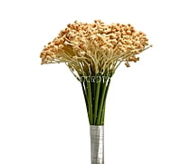 Baby Breath's Bunch