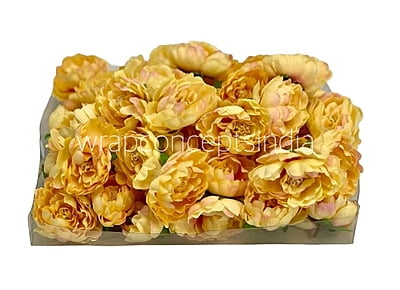 Buttercup with Peach Open Peony