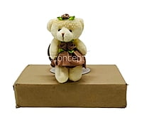 Teddy With Dress & Bow - Multicolour