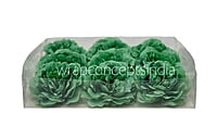 Pine Green Moutan Peony