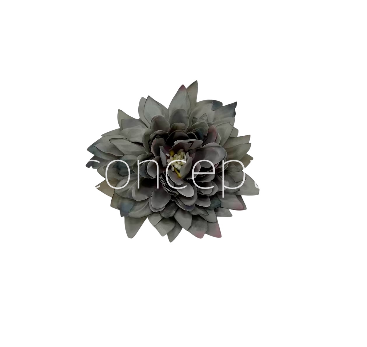Pastel Grey Dahlia Flower