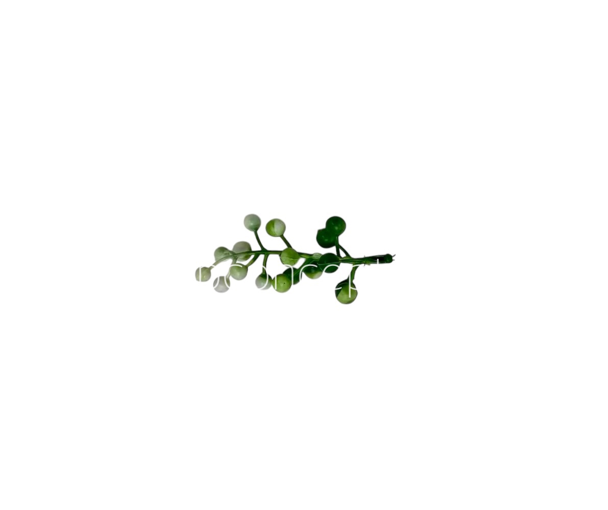 Green & White Big Baby Breath Florets